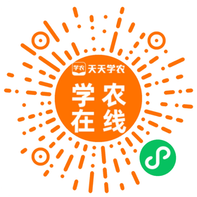 ʱ - ǲ!z6com